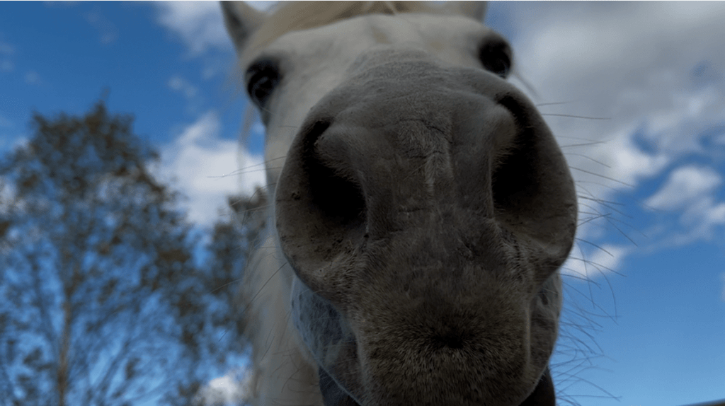 社員旅行 in 北海道