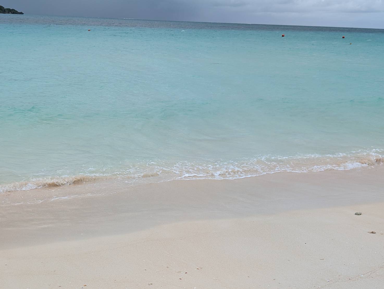 2025年のいろいろ