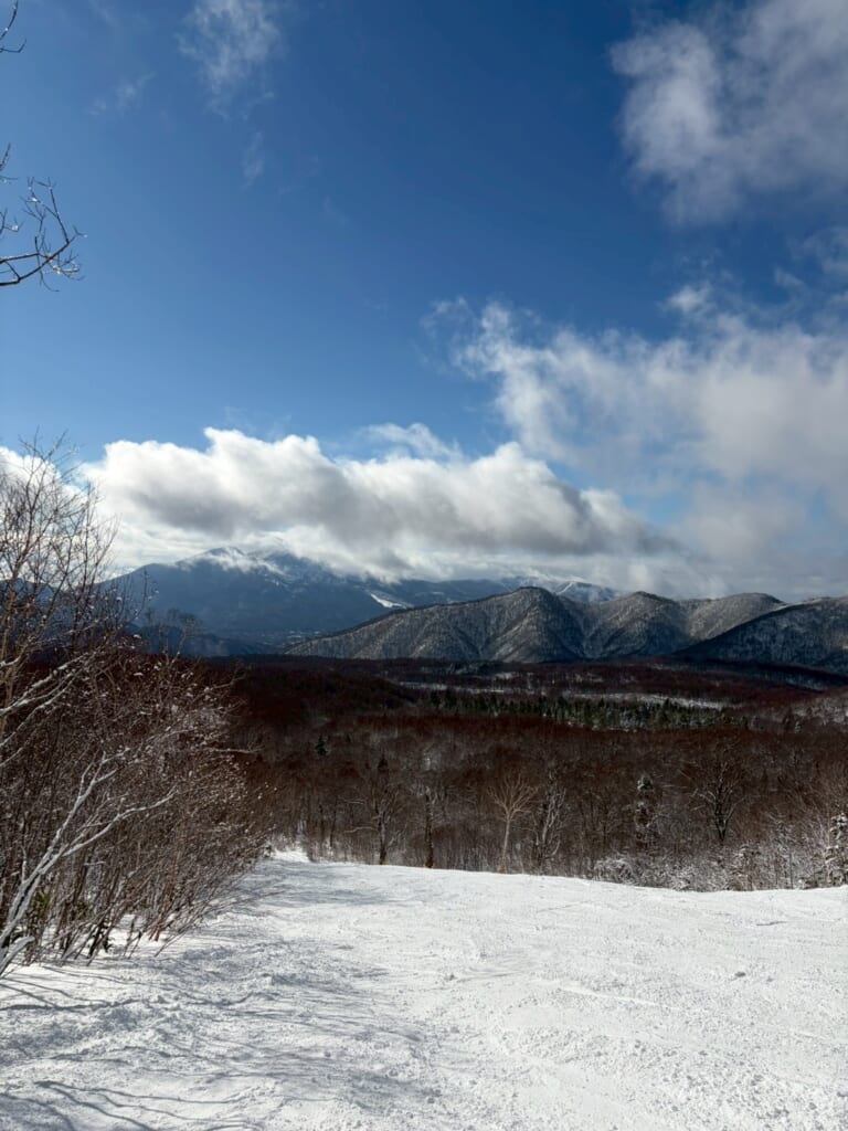 冬の楽しみ！！