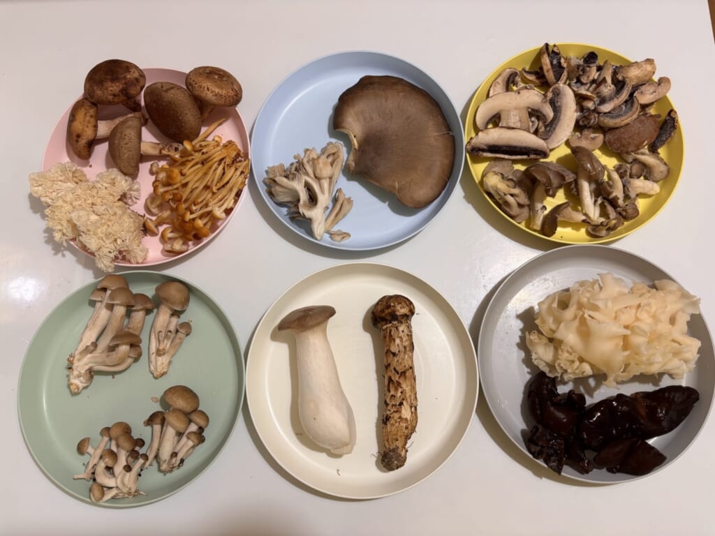 シイタケ、ヤマブシタケ、柿の木茸、黒アワビ茸、マイタケ、マッシュルーム、霜降りヒラタケ、ブナシメジ、ハタケシメジ、エリンギ、マツタケ、ハナビラタケ、キクラゲ