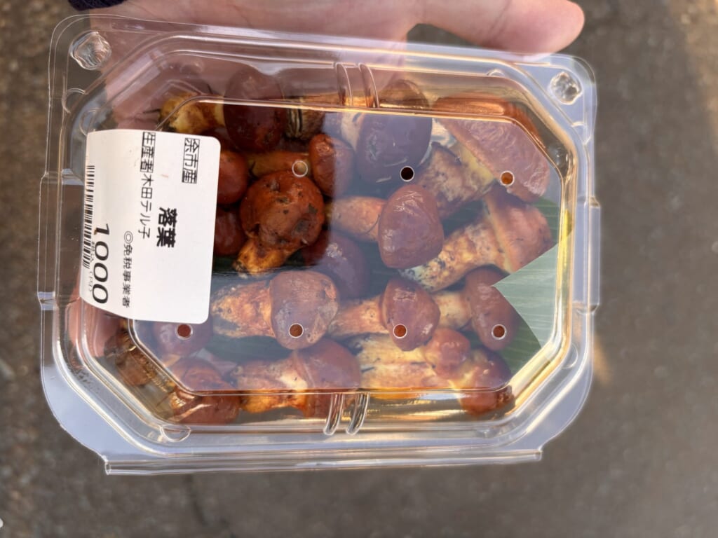 ハナイグチ