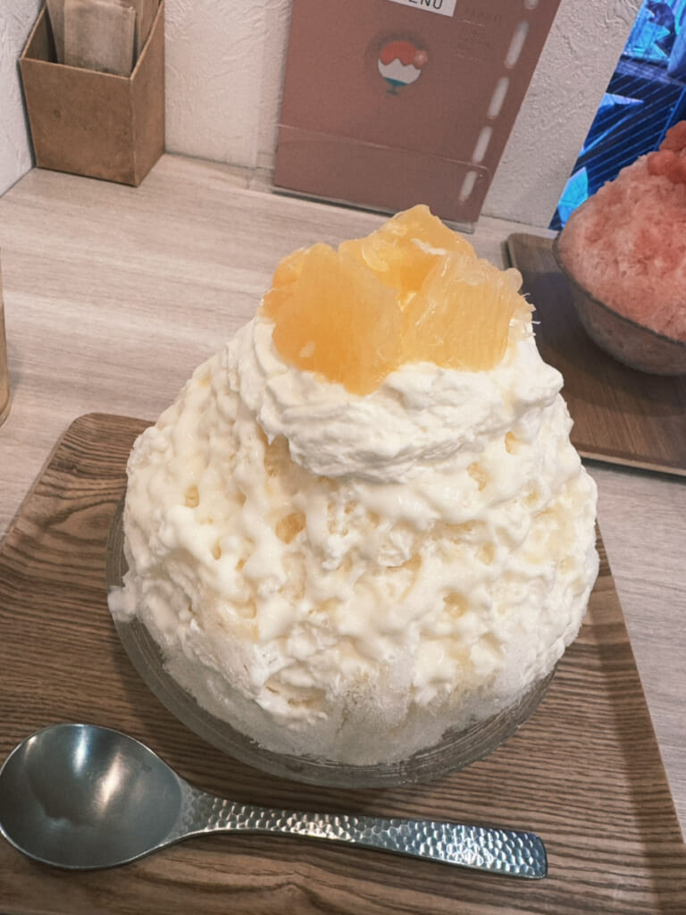夏休みの自由研究