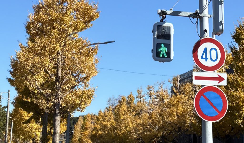 紅葉してました