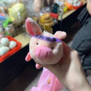 台湾の夜市でゲットしたぬいぐるみ