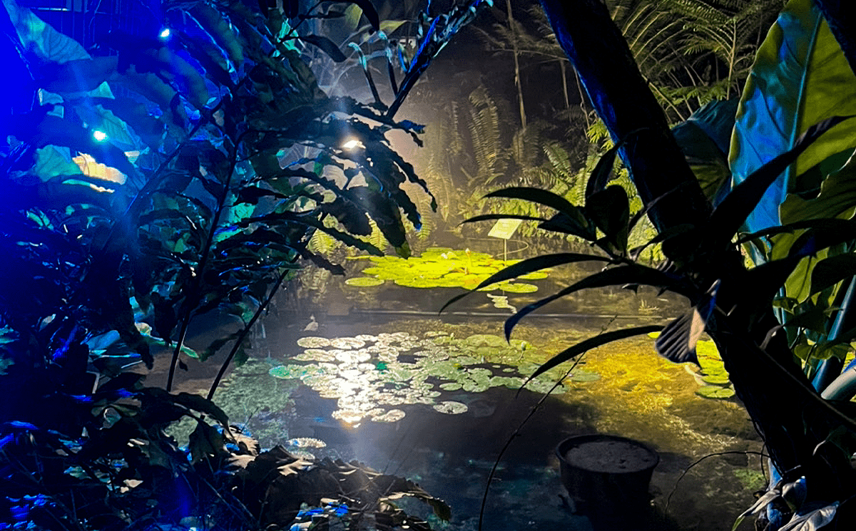 植物園に行ってきました