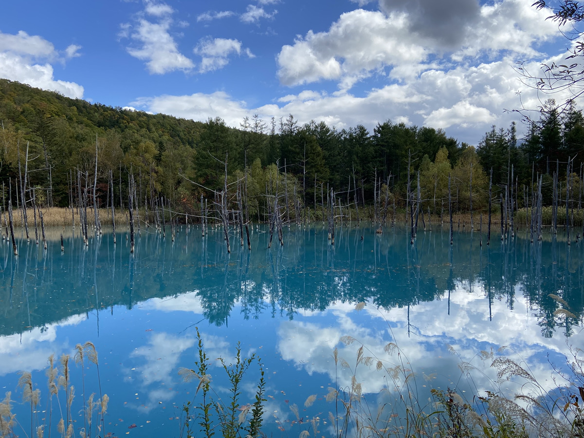 北海道にある「青い池」が綺麗過ぎた